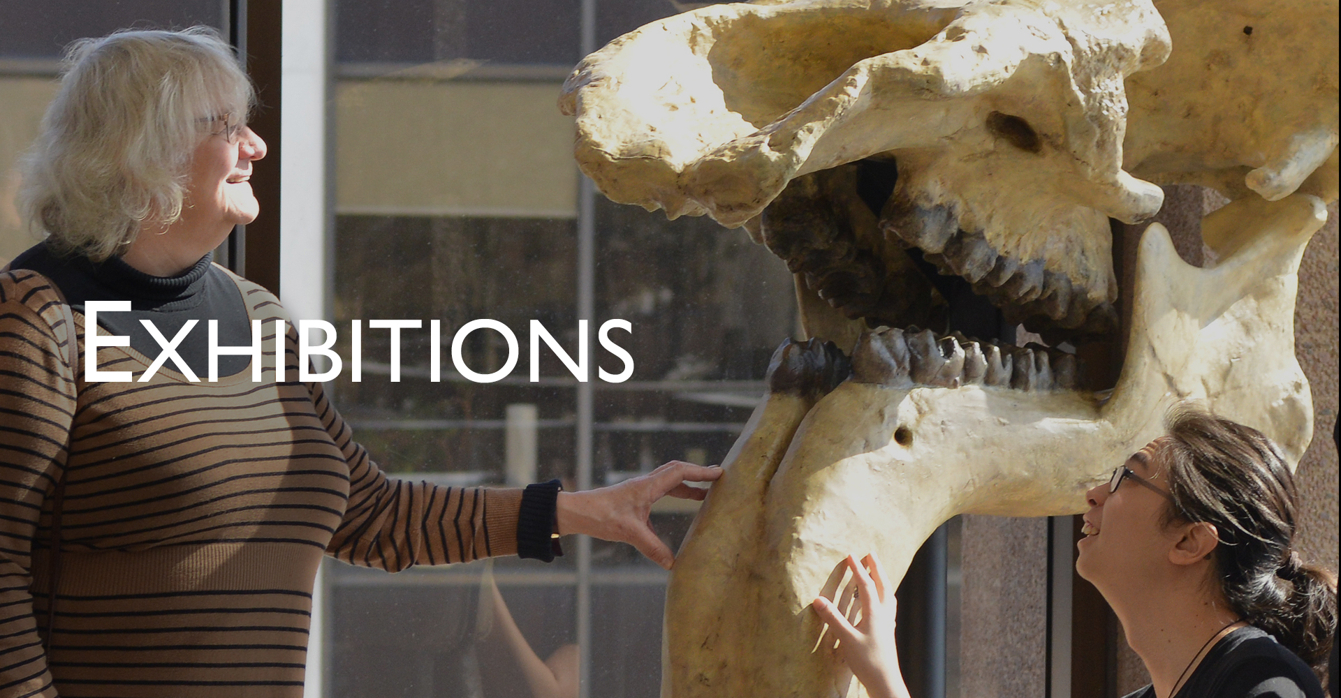 Exhibitions -- background photo is that of Professor Ellen Thomas and Yu Kai Tan marvelling at Terry the Deinotherium on Installation Day