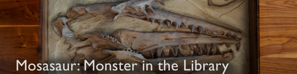 Mosasaur: Monster in the Library