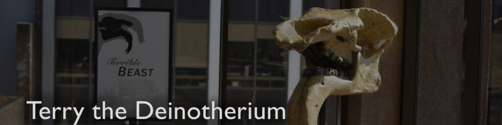 Terry the Deinotherium Exhibit