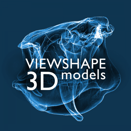 Button to view ViewShape 3D Model collections at Wesleyan University